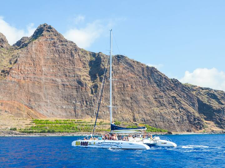 Madeira Wale Delfine beobachten