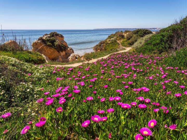 Portugal Frühling