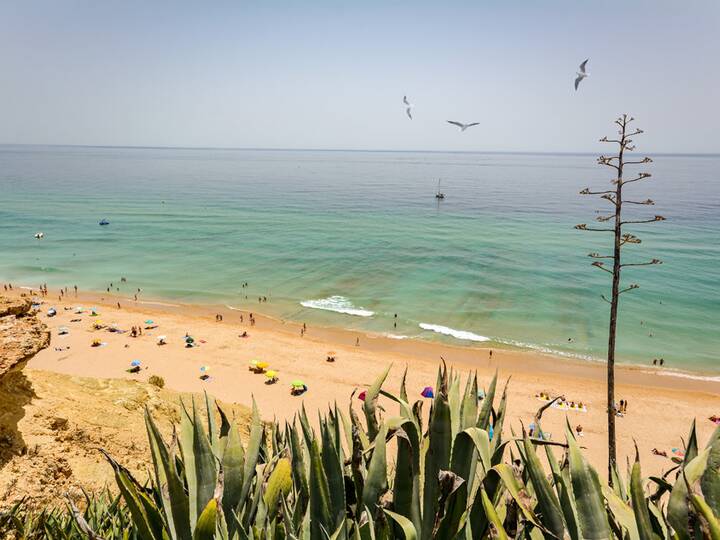 Praia do Porto de Mós