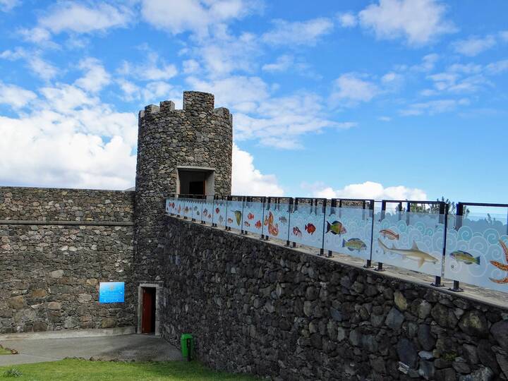 Aquarium Madeira Porto Moniz